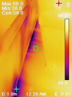 infrared thermal imaging test